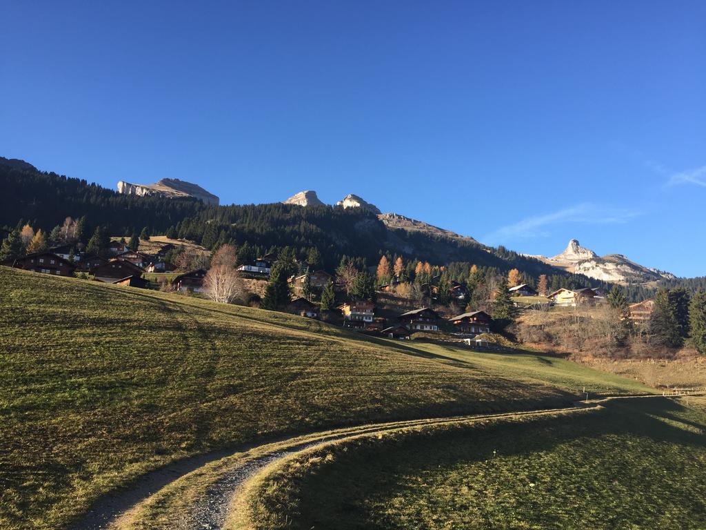 Apartamento La petite Silene Leysin Habitación foto