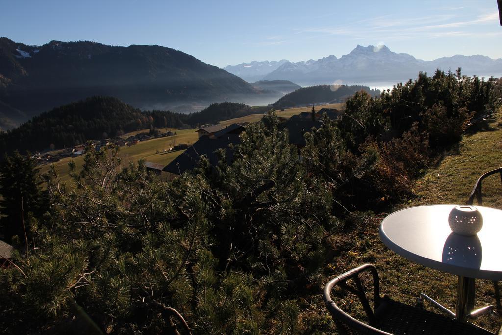Apartamento La petite Silene Leysin Exterior foto